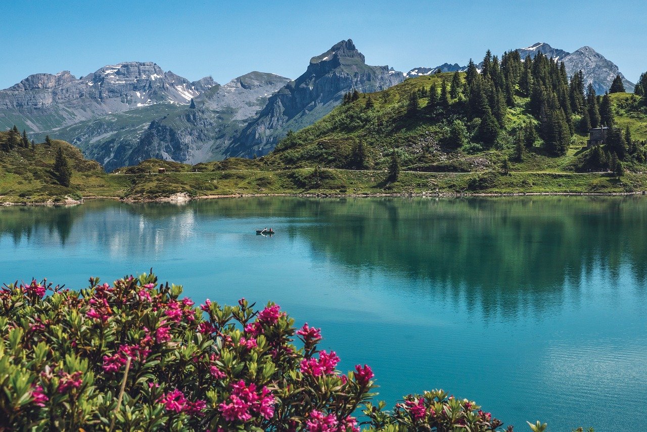 trüebsee, titlis, switzerland, panorama, alps, landscape, alpine roses, mountains, lake, hike, mountain lake, nature, reflection, water, switzerland, switzerland, switzerland, switzerland, switzerland, mountains, lake, lake, lake, lake